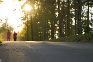 459 Presidents Pointe Ave, Ranson, WV 25438 - Photo 38