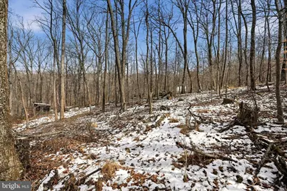 Lots 123 & 124 Tulip Tree Way, Harpers Ferry, WV 25425 - Photo 4