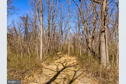 6864/6860 Engle Molers Road, Shepherdstown, WV 25443 - Photo 126