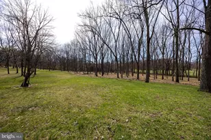 712 Morgan Grove Rd, Shepherdstown, WV 25443 - Photo 64