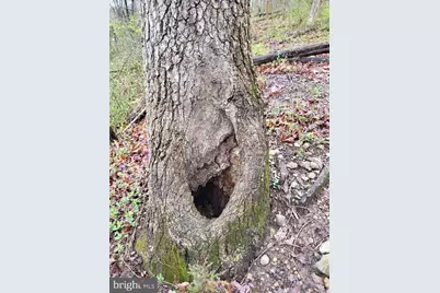 Bear Run, Harpers Ferry, WV 25425 - Photo 8