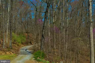 753 Seven Springs Rd, Charles Town, WV 25414 - Photo 30