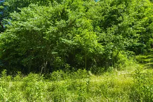 148 Signal Hill Ln, Harpers Ferry, WV 25425 - Photo 44