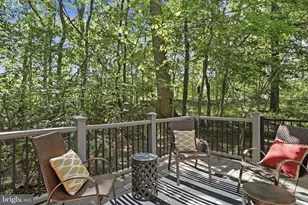 63 Hackberry Cir, Shepherdstown, WV 25443 - Photo 44