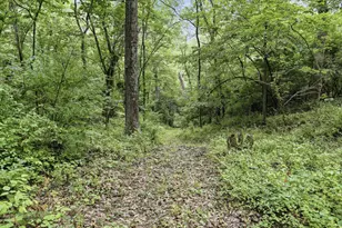 75 Lindas Ln, Kearneysville, WV 25430 - Photo 30