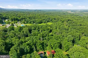 253 Persimmon Pear Ln, Harpers Ferry, WV 25425 - Photo 62