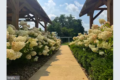 1202 Chinkapin Oak Trail, Morgantown, WV 26501 - Photo 68