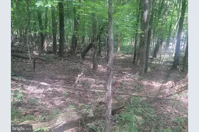 46 Pounds Hollow Road, Morgantown, WV 26508 - Photo 20