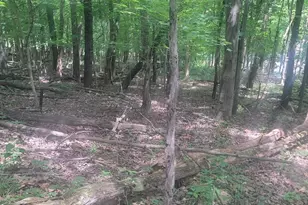46 Pounds Hollow Rd, Morgantown, WV 26508 - Photo 20
