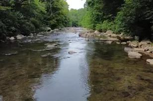 Abrams Creek - Oakmont Wv, Elk Garden, WV 26717 - Photo 1