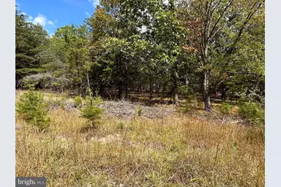 Knobley Road, Keyser, WV 26726 - Photo 8