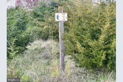 Lot 1 Markwood Drive, Keyser, WV 26726 - Photo 2