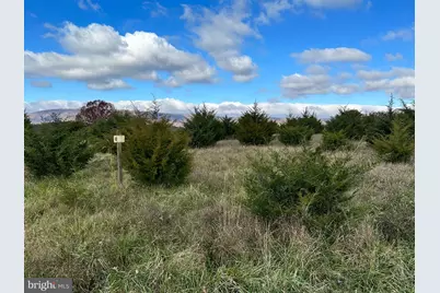 Lot 1 Markwood Drive, Keyser, WV 26726 - Photo 4