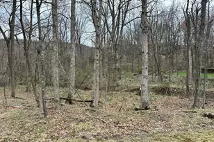 Timberlake Estates - Lot 24, New Creek, WV 26743 - Photo 1