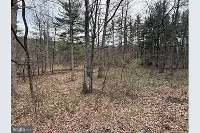 Timberlake Estates - Lot 4, New Creek, WV 26743 - Photo 2