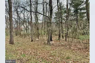 Timberlake Estates - Lot 5, New Creek, WV 26743 - Photo 2