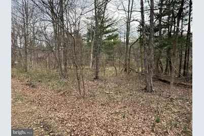 Timberlake Estates - Lot 5, New Creek, WV 26743 - Photo 1