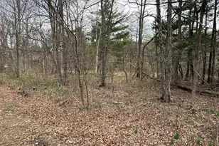 Timberlake Estates - Lot 5, New Creek, WV 26743 - Photo 1