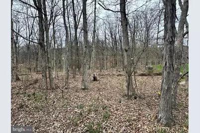 Timberlake Estates - Lot 27, New Creek, WV 26743 - Photo 4