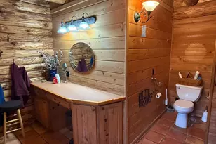 3029 Whitetail Ridge Rd, Burlington, WV 26710 - Photo 96