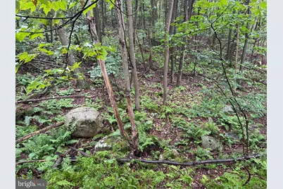 0 Pinnacle Road, Keyser, WV 26726 - Photo 14