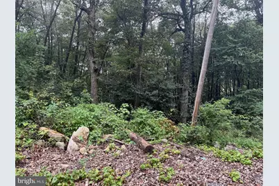 0 Pinnacle Road, Keyser, WV 26726 - Photo 50