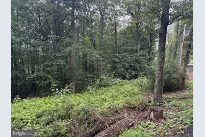 0 Pinnacle Road, Keyser, WV 26726 - Photo 58