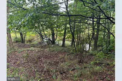 0 Pinnacle Road, Keyser, WV 26726 - Photo 32