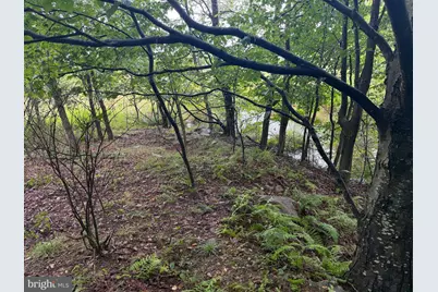 0 Pinnacle Road, Keyser, WV 26726 - Photo 26