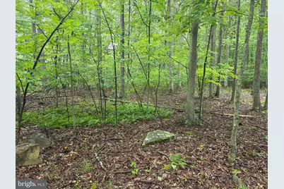 Shadyside Road, Elk Garden, WV 26717 - Photo 10