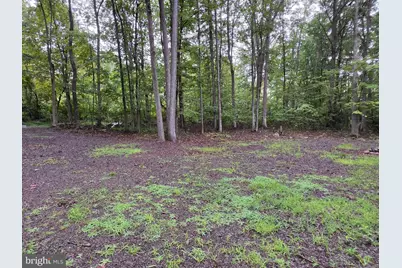 Shadyside Road, Elk Garden, WV 26717 - Photo 4