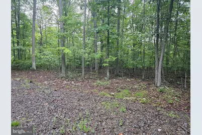Shadyside Road, Elk Garden, WV 26717 - Photo 6