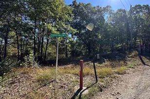 102 Bluffs Ridge Rd, Fort Ashby, WV 26719 - Photo 58