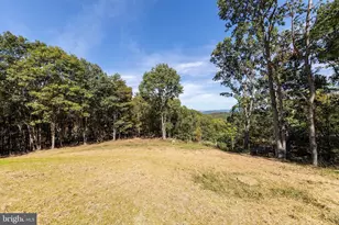 102 Bluffs Ridge Rd, Fort Ashby, WV 26719 - Photo 50