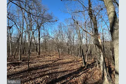 Lot # 23 Mountain Home Sd, Fort Ashby, WV 26719 - Photo 2