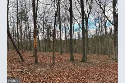 1489 Painter Hollow Road, Fort Ashby, WV 26719 - Photo 10