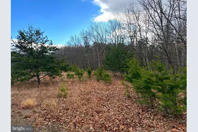 1489 Painter Hollow Road, Fort Ashby, WV 26719 - Photo 22