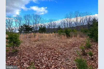 1489 Painter Hollow Road, Fort Ashby, WV 26719 - Photo 26
