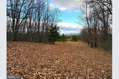 1489 Painter Hollow Road, Fort Ashby, WV 26719 - Photo 8