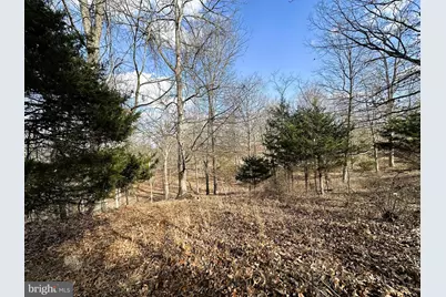 44 Bluffs On The Potomac, Fort Ashby, WV 26719 - Photo 12