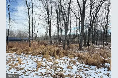 240 Brush Alley, Elk Garden, WV 26717 - Photo 24