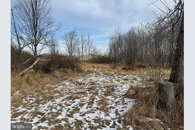 240 Brush Alley, Elk Garden, WV 26717 - Photo 18