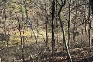 40 Amandas Ln, Keyser, WV 26726 - Photo 68