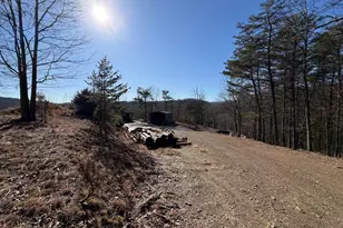 40 Amandas Ln, Keyser, WV 26726 - Photo 66