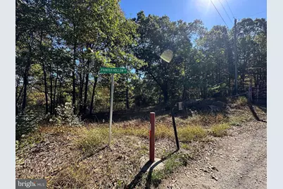 102 Bluffs Ridge Road, Fort Ashby, WV 26719 - Photo 80