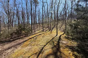 563 Valley Forge Ln, Burlington, WV 26710 - Photo 100