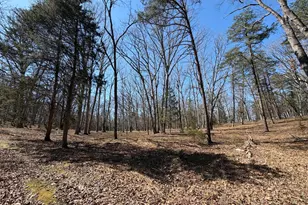 563 Valley Forge Ln, Burlington, WV 26710 - Photo 112