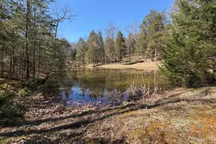 563 Valley Forge Ln, Burlington, WV 26710 - Photo 16