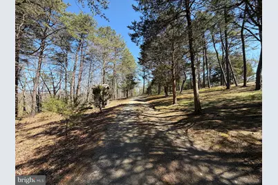 563 Valley Forge Lane, Burlington, WV 26710 - Photo 120