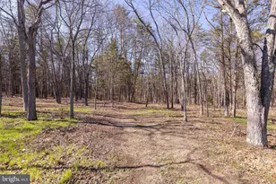 563 Valley Forge Ln, Burlington, WV 26710 - Photo 98